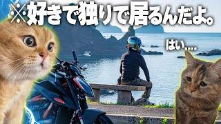 【孤独？幸せ？】独身ぼっちライダーのリアルな週末ルーティン #猫マニ #猫ミーム