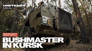 Bushmaster IMV in the Kursk Region, Russia. Australian Armor in Service with  Air Assault Forces