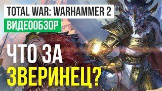 Обзор игры Total War: Warhammer 2