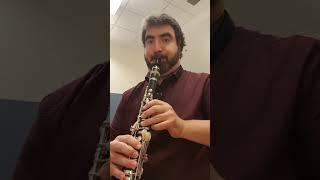Sellner - Oboe Etude II/1 (on Clarinet)