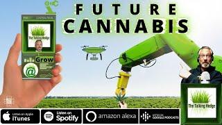 Automation & The Future of Cannabis Tech