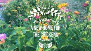 Our Chickens Are Getting A New Home!