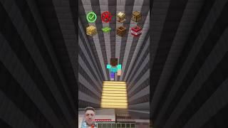 MINECRAFT: BLOCKS VS FALL DAMAGE – WHO WINS? #minecraft #minecraftbuilding