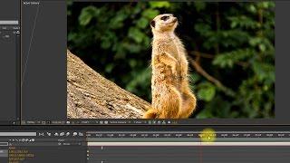 How to make awesome 3D photo animations!