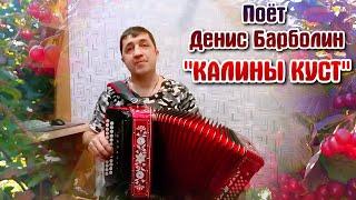 "КАЛИНЫ КУСТ". Душевная Песня Под Гармонь | Поёт Денис Барболин. Song with accordion.