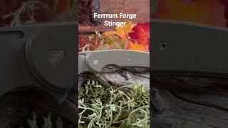 Ferrum Forge Stinger #knife #foldingknife