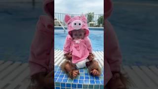 Super monkey