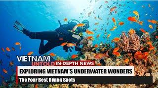 Vietnam's Top Four Diving Spots: Underwater Wonders