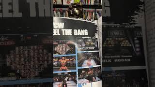 @RGT85 Has a Book?!?! The ART of N64 Wrestling Games