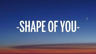 Ed Sheeran - Shape of You (Lyrics)