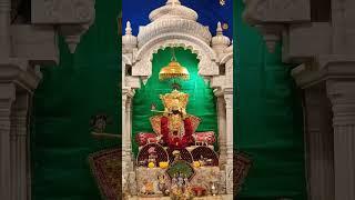 Jai ranchhodrai #ranchodrai #kanudo #radhakrishna #viralvideo