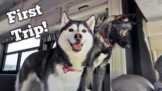 The Huskies FIRST Trip in the RV!