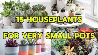 15 HOUSEPLANTS FOR VERY SMALL POTS #plants #flowers #houseplants #indoorplants #indoorplantlover