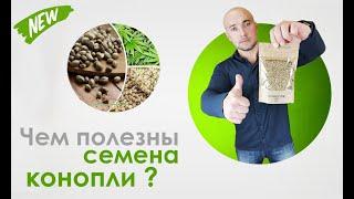 Чем полезны семена конопли?