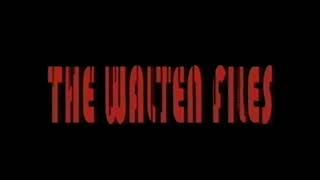 Bye Bye Blues (Live) (The Walten Files 4 - CyberFun Tech OST)