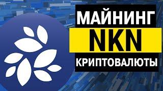 NKN - дополнительный пассивный заработок на VPS