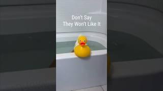 Don’t Be Shy Duck