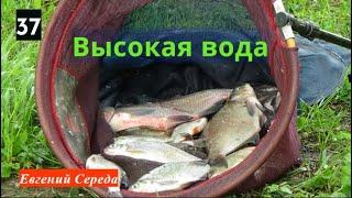 37. Высокая вода.