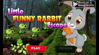 Avm Little Funny Rabbit Escape Walkthrough [AvmGames]
