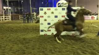 Prova cinco tambores, categoria feminino na 36ª exposição nacional do cavalo mangalarga marchador.