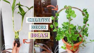 CREATIVE & EASY Plant Decoration Ideas to Style Interior// Home Decoration