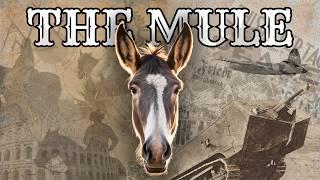 What Is A Mule? [Their Surprising History and Origins]