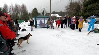 ЗОЛОТАЯ РЫБКА в  п. Свирьстрой 1.03.25. Собаки - беспредельщики украли рукавицу.