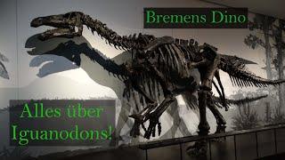 Alles über Iguanodons! {Zu Besuch im Übersee-Museum Bremen}