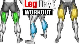 ‎Ultimate Dumbbell Leg Workout at Home | 7 Best Exercises for Stronger Quads & Legs