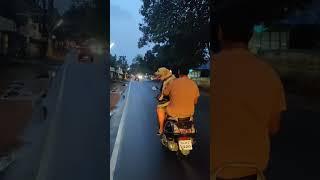 Dog riding pillion on a scooter