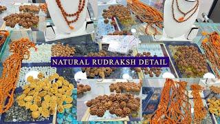 Asli Rudraksh and Rudraksh Mala | ओरिजिनल रुद्राक्ष | 1 Mukhi Rudraksha to 21 Mukhi Rudraksh