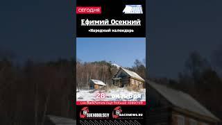 Сегодня, 28 октября , в этот день отмечают праздник, Ефимий Осенний