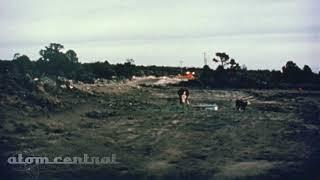 Cow vs. Underground nuclear test