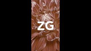 Ombre by ZG