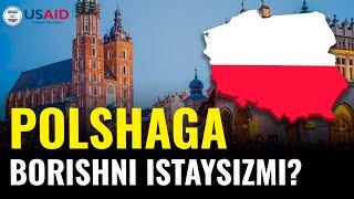 ПОЛЬШАДА ИШЛАШ УЧУН ҚАНДАЙ ҚИЛИБ ВИЗА ОЛИНАДИ?