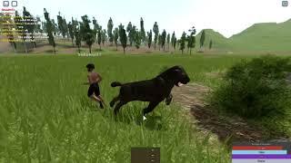 |Cenozoic Survival Roblox| Saber Tooth V.S Human and Equus