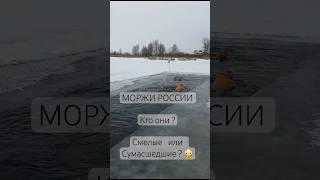 ЗАЧЕМ ОНИ ЭТО ДЕЛАЮТ?#МОРЖИ РОССИИ#РЫБИНСК