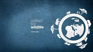 WWF UK: Conserving Rhinos in Kenya