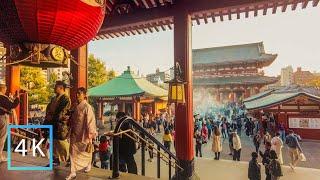 【4K】Tokyo Walk・Walking around Sensoji Temple on a sunny day【ASMR】