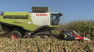 copeta lexion 760 terra trac a 10 file x2