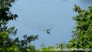 Canoe, Kayak and River Tubing on Cape Fear River