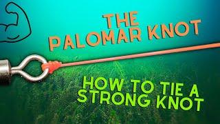 How to Tie the Palomar Knot for Strong and Reliable Fishing