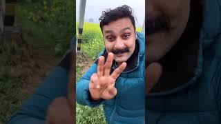 This plant will kill you !