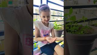 criteria #song #album song#little star trisha