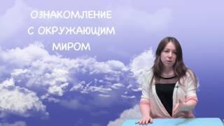 Чему учить в 2-3 года - ОЗНАКОМЛЕНИЕ С ОКРУЖАЮЩИМ