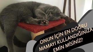 KISIR KEDİ MAMASI İNCELEME VE TAVSİYE 2 | HANGİ MAMA DAHA KALİTELİ VE UCUZ?