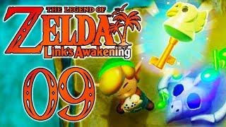 ZELDA LINK's AWAKENING SWITCH Part 9  Der ADLERSCHLÜSSEL UND KRÖTENRAP! [Deutsch/Switch]