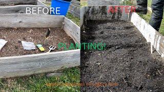 Planting My Raised-Bed With an Assortment of Seeds! My Life on the Farm!!