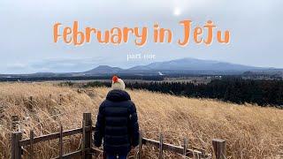 Jeju Travel Vlog in February | cafes, beaches and views | 제주도 여행 브이로그 (이월)