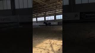 Club Sportiv Ecvestru Decebal Bacau/ Horse riding training